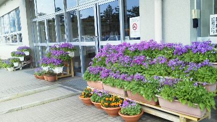 20120413-4.jpg